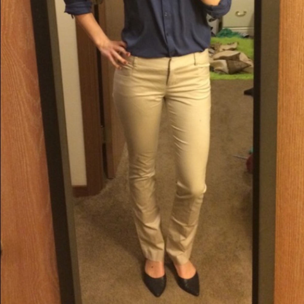 Express Columnist Dress Pants